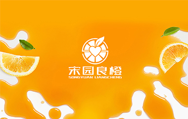 某良橙——泰州LOGO设计